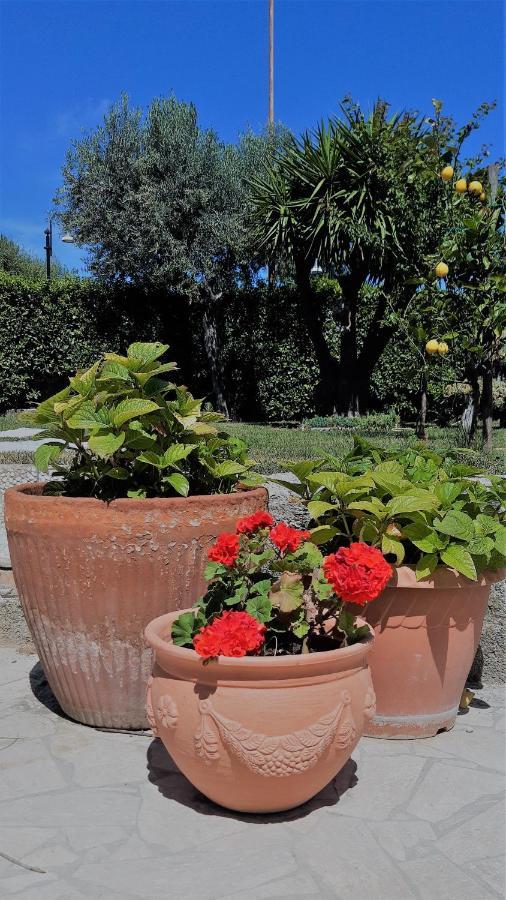 A Casa Di Nonna B&B Tortoreto Eksteriør bilde